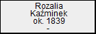 Rozalia Kaminek