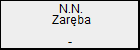 N.N. Zarba