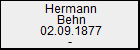 Hermann Behn