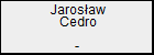 Jarosaw Cedro