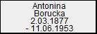 Antonina Borucka