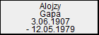 Alojzy Gapa
