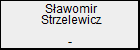 Sawomir Strzelewicz