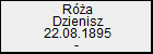Ra Dzienisz